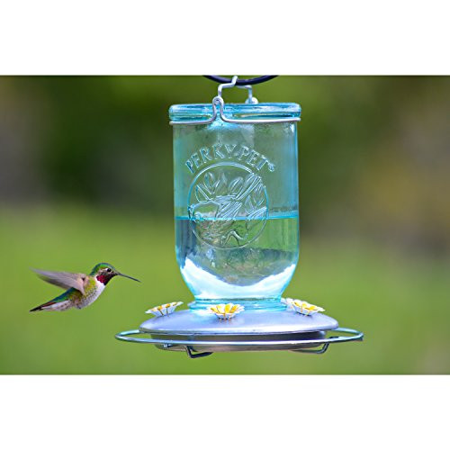 Best ideas about DIY Hummingbird Feeder Mason Jar
. Save or Pin Perky Pet 785 Mason Jar Hummingbird Feeder New Now.