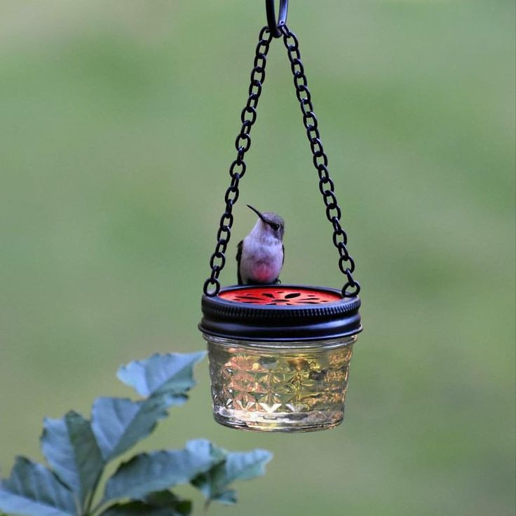 Best ideas about DIY Hummingbird Feeder Mason Jar
. Save or Pin Best 25 Diy bird feeder ideas on Pinterest Now.