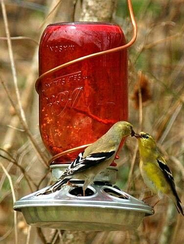 Best ideas about DIY Hummingbird Feeder Mason Jar
. Save or Pin Home made bird feeder Backyard Fun Pinterest Now.