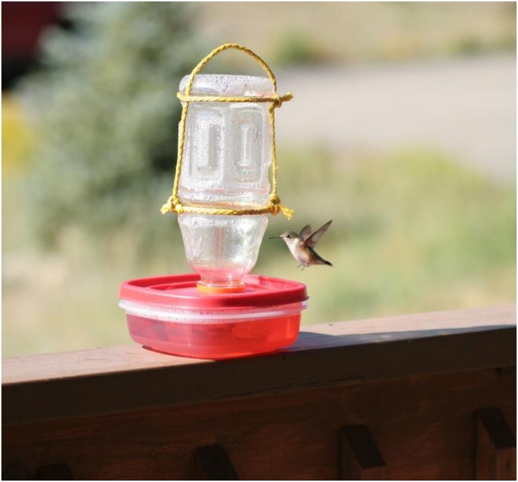 Best ideas about DIY Hummingbird Feeder Mason Jar
. Save or Pin Top 10 Eco Friendly DIY Bird Feeders Top Inspired Now.