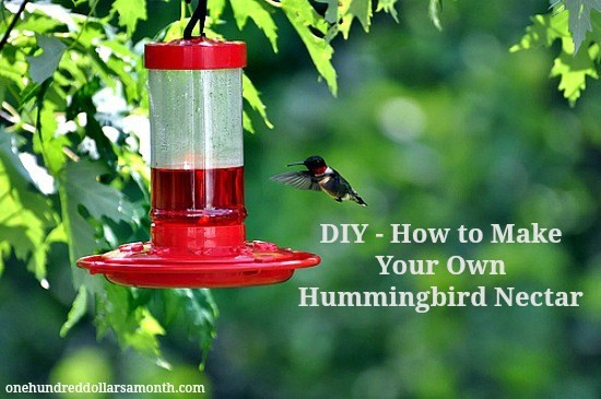 Best ideas about DIY Hummingbird Food
. Save or Pin DIY Hummingbird Nectar Recipe Now.