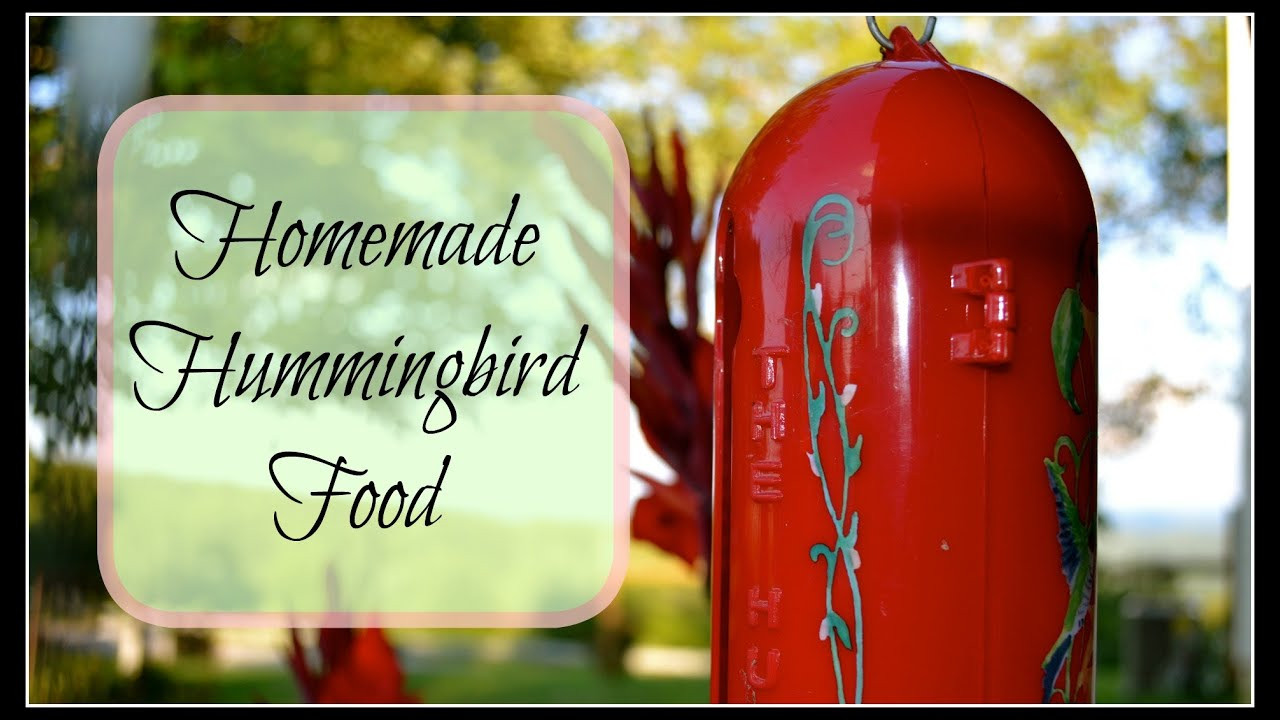 Best ideas about DIY Hummingbird Food
. Save or Pin Homemade Hummingbird Food Now.