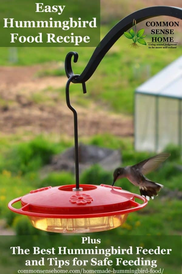 Best ideas about DIY Hummingbird Food
. Save or Pin Homemade Hummingbird Food Recipe and the Best Feeder Now.