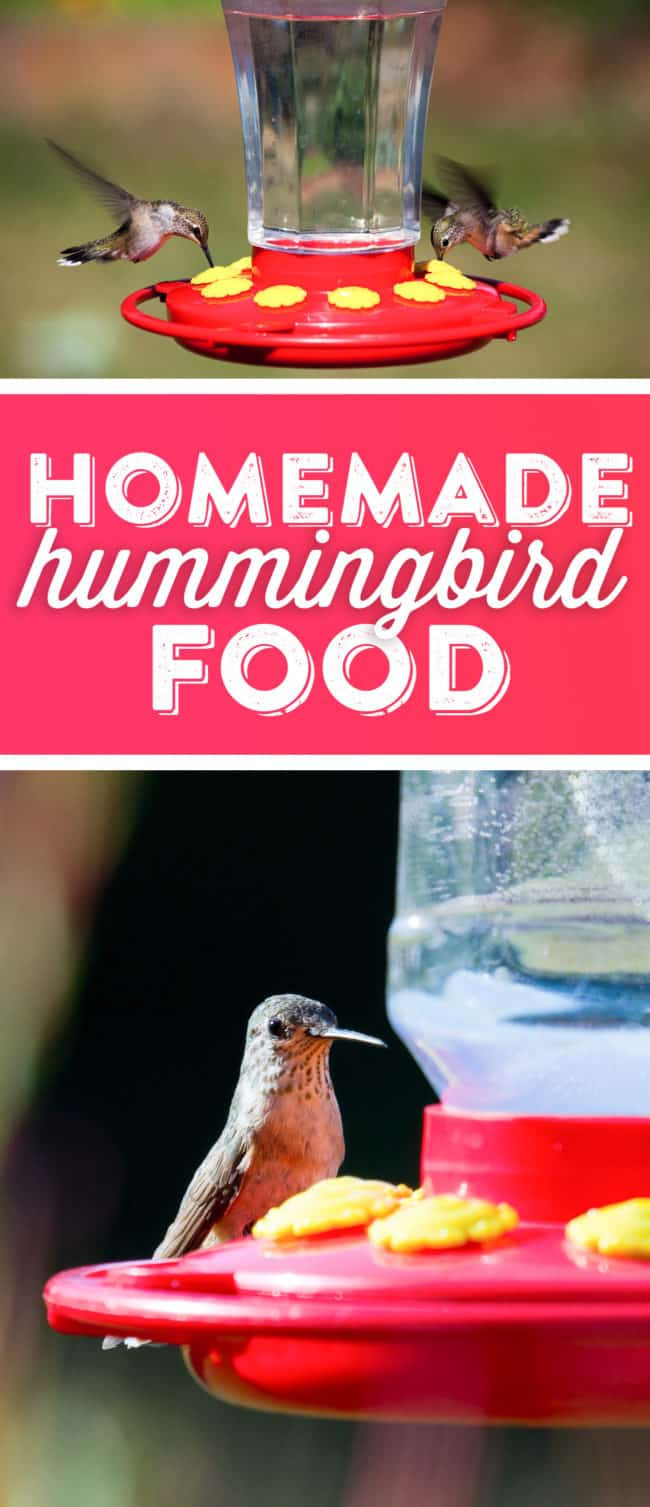 Best ideas about DIY Hummingbird Food
. Save or Pin Hummingbird Food Recipe Now.