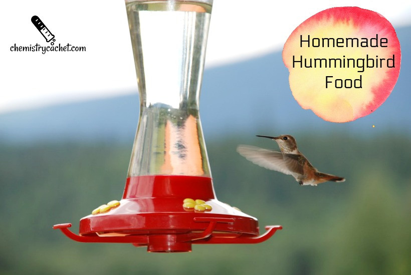 Best ideas about DIY Hummingbird Food
. Save or Pin Easy Homemade Hummingbird Food Recipe Plus Important Tips Now.