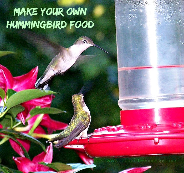 Best ideas about DIY Hummingbird Food
. Save or Pin Make your Own Hummingbird Food Recipe DIY Recipe Now.