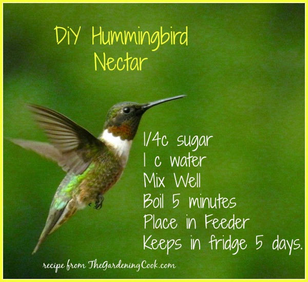 Best ideas about DIY Hummingbird Nectar
. Save or Pin DIY Humming bird Nectar The Gardening Cook Now.