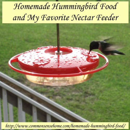 Best ideas about DIY Hummingbird Nectar
. Save or Pin Homemade Hummingbird Food and My Favorite Nectar Feeder Now.
