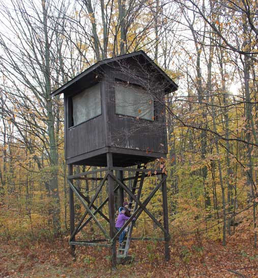 Best ideas about DIY Hunting Blind
. Save or Pin DIY How To Build A Deer Blind – Easy Step By Step Now.