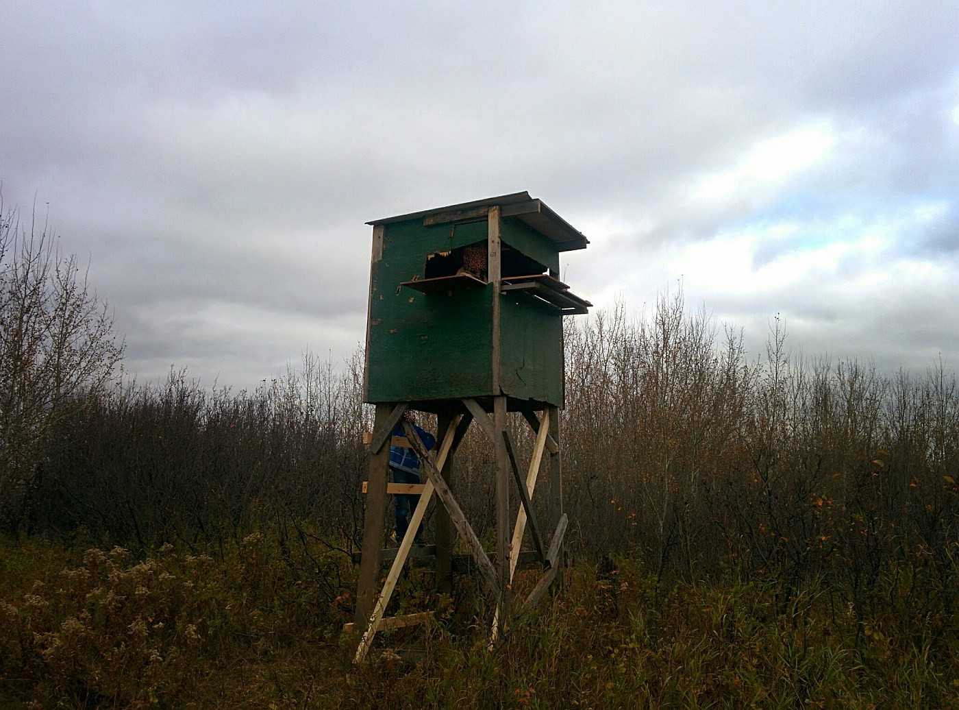 Best ideas about DIY Hunting Blind
. Save or Pin DIY Elevated Hunting Blinds Now.