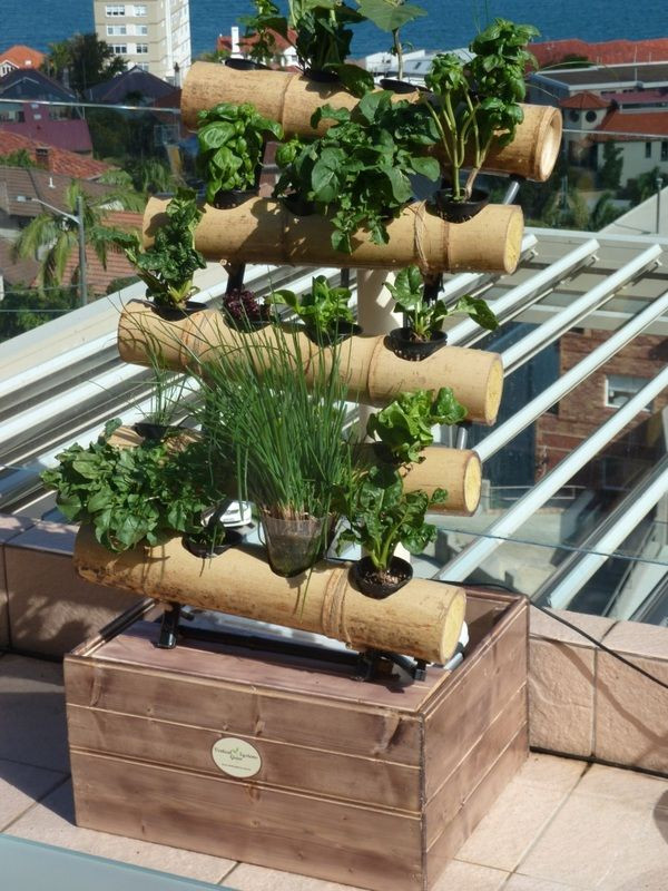 Best ideas about DIY Hydroponic Gardening
. Save or Pin A decorative bamboo hydroponic plant growing system Now.