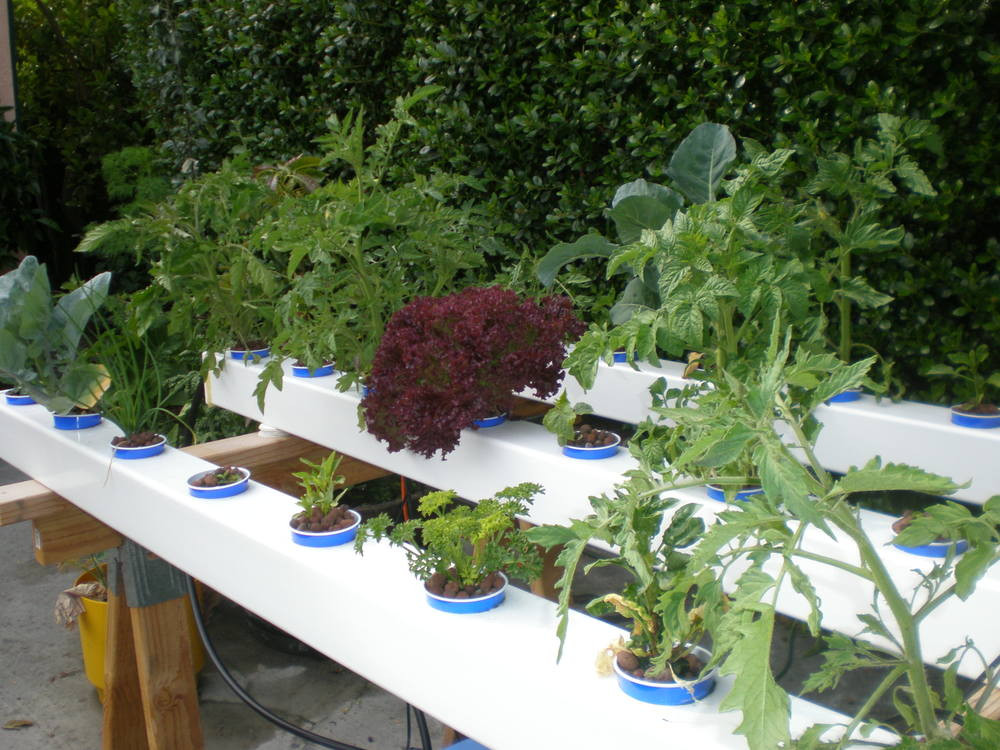 Best ideas about DIY Hydroponic Gardening
. Save or Pin Awesomeness Projects Now.