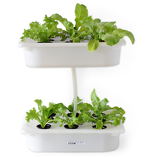 Best ideas about DIY Hydroponics Garden
. Save or Pin How to Build Indoor Hydroponic Gardens Using IKEA Storage Now.