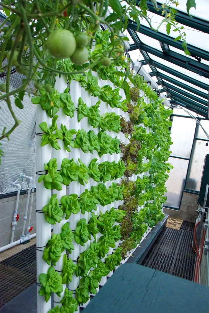 Best ideas about DIY Hydroponics Garden
. Save or Pin 25 best ideas about Vertical hydroponics on Pinterest Now.