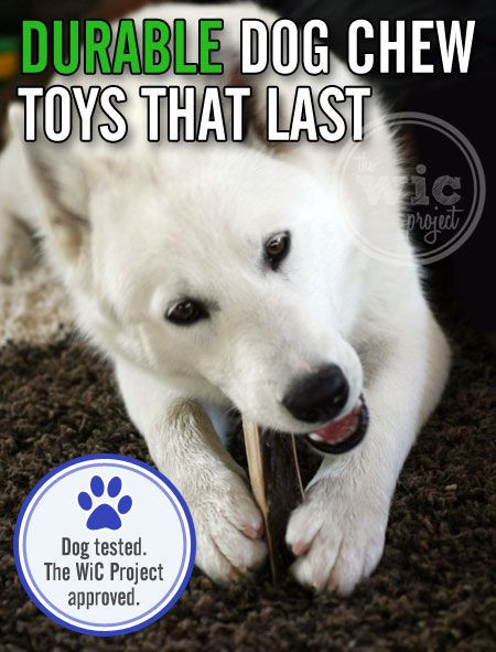 Best ideas about DIY Indestructible Dog Toys
. Save or Pin 5 Durable Dog Chew Toys for Aggressive Chewers Now.