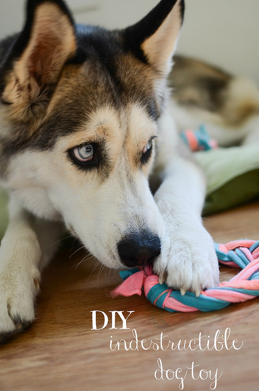 Best ideas about DIY Indestructible Dog Toys
. Save or Pin DIY Indestructible Dog Toy Fake Ginger Now.