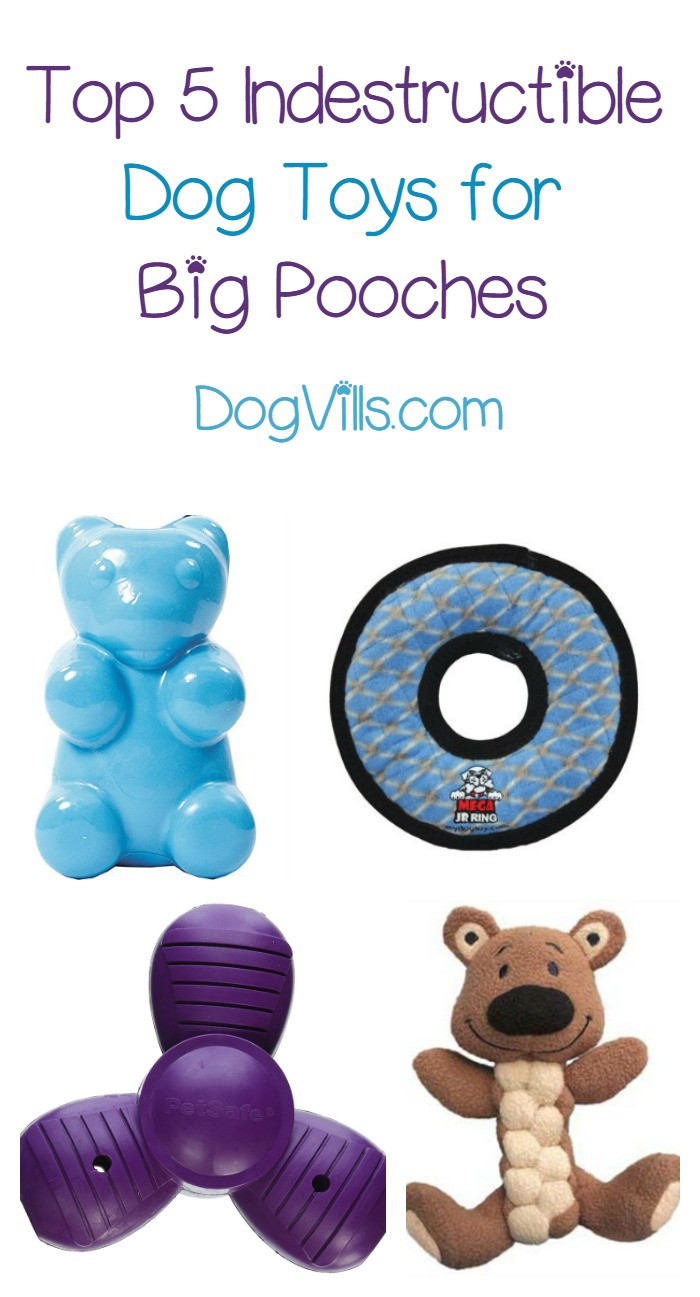 Best ideas about DIY Indestructible Dog Toys
. Save or Pin The 5 Most Indestructible Dog Toys DogVills Now.