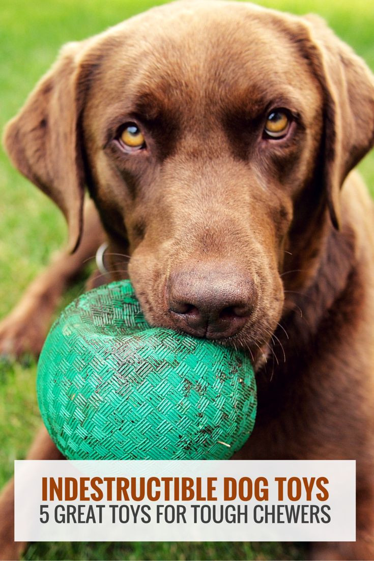 Best ideas about DIY Indestructible Dog Toys
. Save or Pin Indestructible Dog Toys Our 7 Favorite Tough Dog Toys Now.