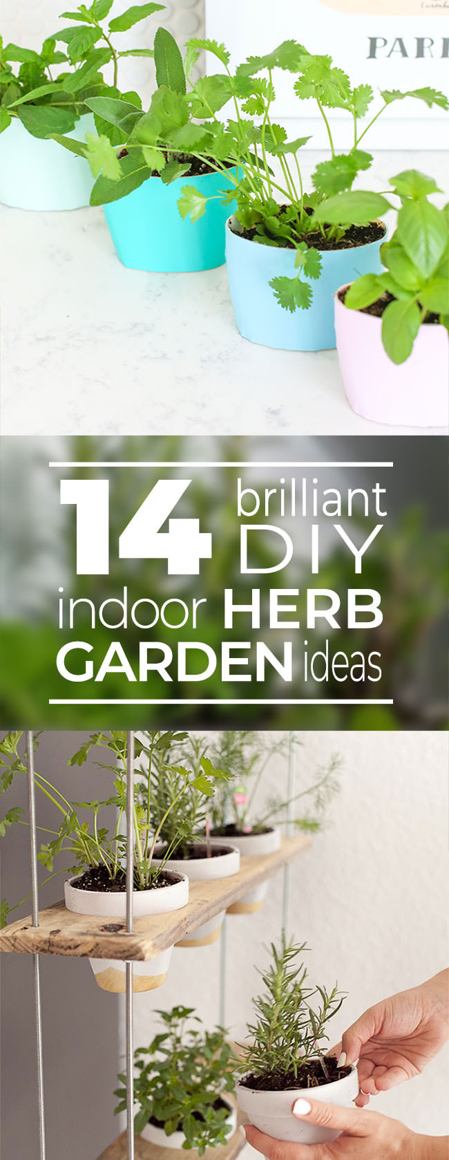 Best ideas about DIY Indoor Herb Garden With Grow Light
. Save or Pin 14 Brilliant DIY Indoor Herb Garden Ideas Now.