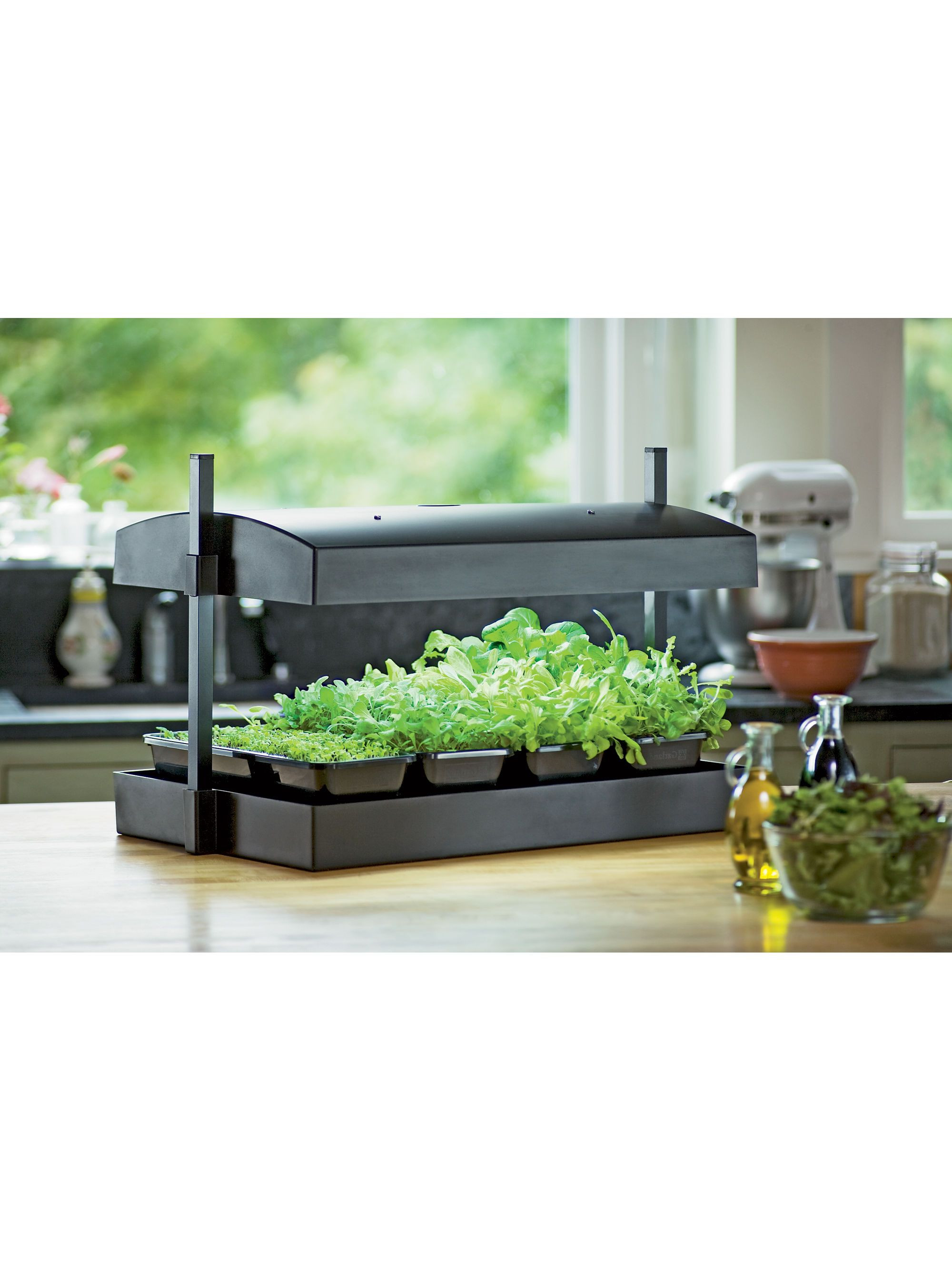 Best ideas about DIY Indoor Herb Garden With Grow Light
. Save or Pin Indoor Herb Garden Kit My Greens Light Garden Now.
