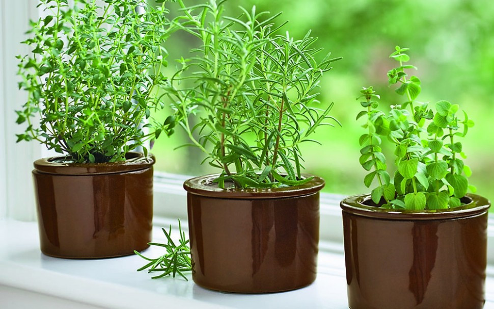 Best ideas about DIY Indoor Herb Garden With Grow Light
. Save or Pin Create a DIY Indoor Grow Light System Now.