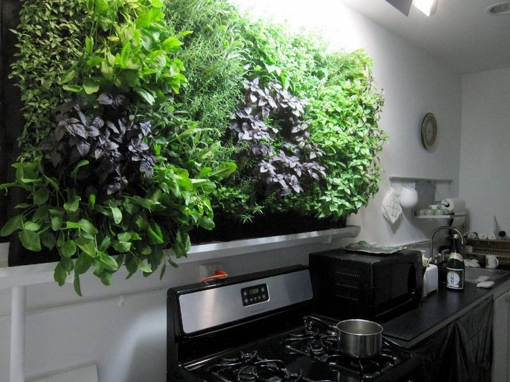 Best ideas about DIY Indoor Herb Garden With Grow Light
. Save or Pin Massive kitchen wall herb garden Now.