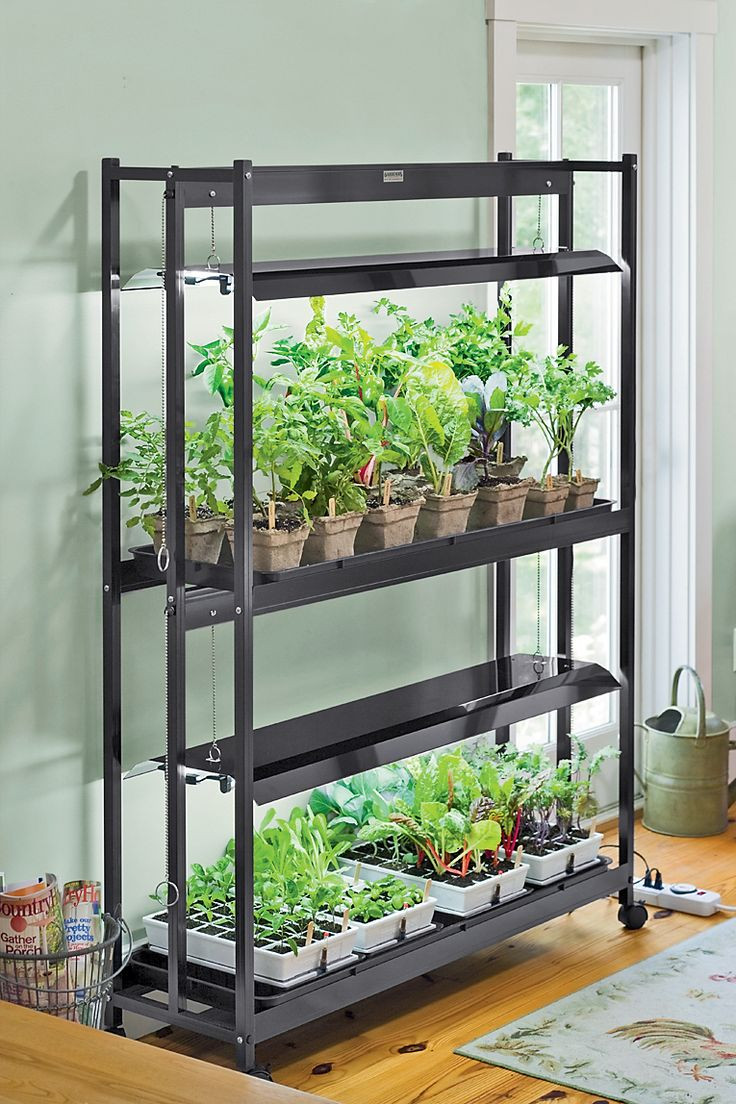 Best ideas about DIY Indoor Herb Garden With Grow Light
. Save or Pin Best 25 Grow lights ideas on Pinterest Now.