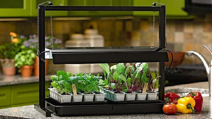 Best ideas about DIY Indoor Herb Garden With Grow Light
. Save or Pin Create a DIY Indoor Grow Light System Now.