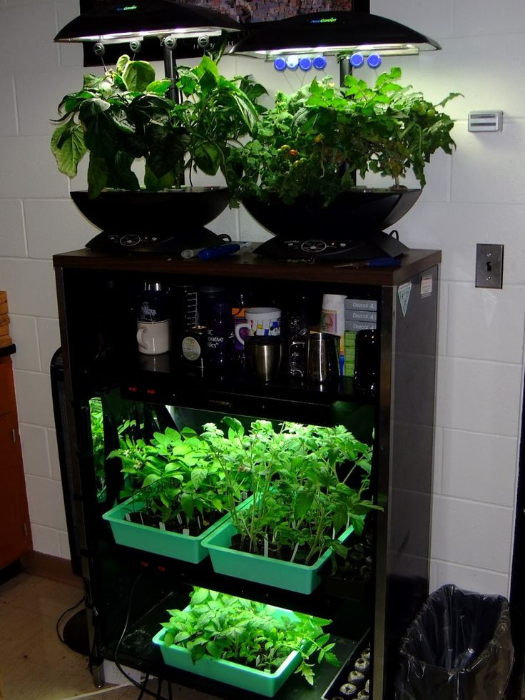 Best ideas about DIY Indoor Herb Garden With Grow Light
. Save or Pin 78 ideas about Wooden Shelf Unit on Pinterest Now.