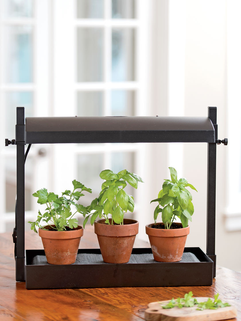 Best ideas about DIY Indoor Herb Garden With Grow Light
. Save or Pin Micro Grow Light Garden Indoor Herb Garden Now.