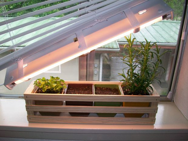 Best ideas about DIY Indoor Herb Garden With Grow Light
. Save or Pin Simple Indoor Herb Garden With Adjustable Grow Light Now.