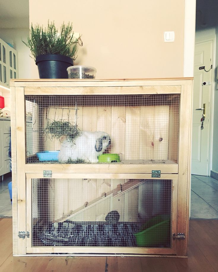 Best ideas about DIY Indoor Rabbit Cage
. Save or Pin Best 25 Rabbit cages ideas on Pinterest Now.