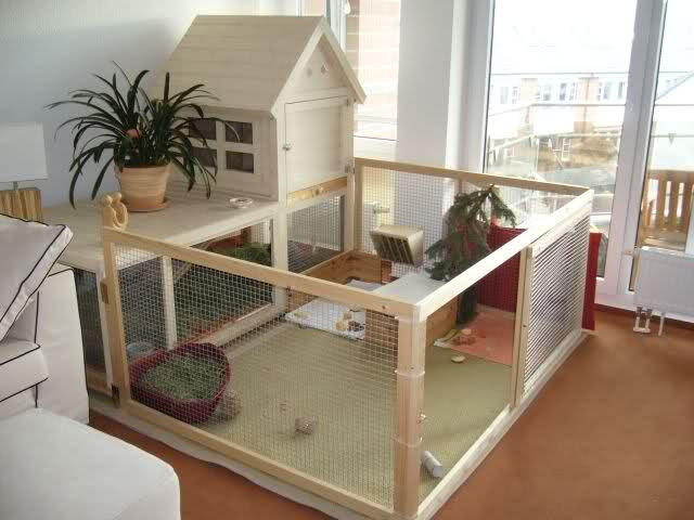 Best ideas about DIY Indoor Rabbit Cage
. Save or Pin Indoor Rabbit Housing Bunny Approved House Rabbit Toys Now.