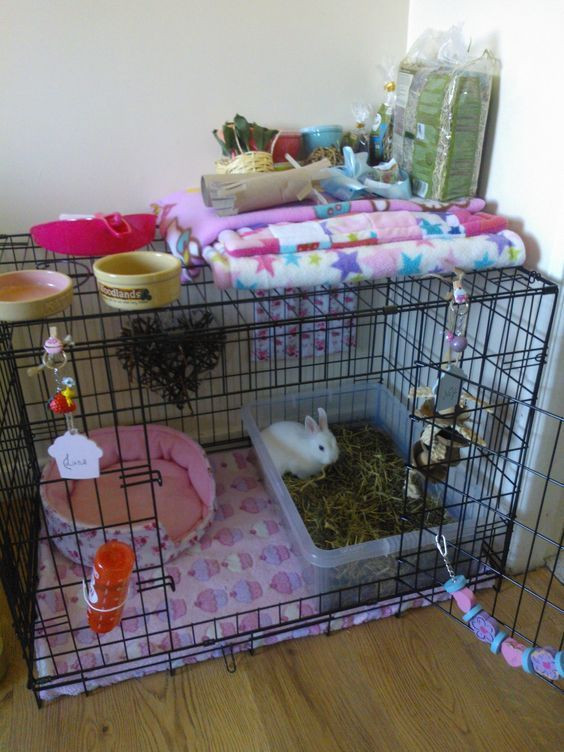 Best ideas about DIY Indoor Rabbit Cage
. Save or Pin Indoor Rabbit Hutch DIY Rabbit Cage Ideas & Accessories Now.