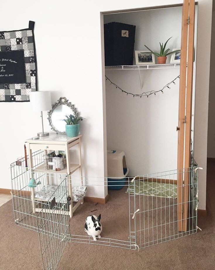 Best ideas about DIY Indoor Rabbit Cage
. Save or Pin Best 25 Indoor rabbit cage ideas on Pinterest Now.