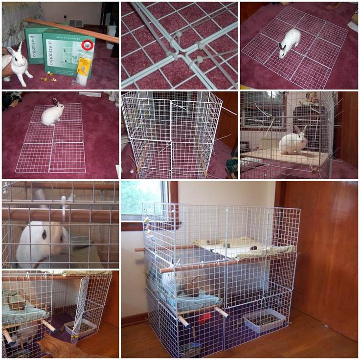 Best ideas about DIY Indoor Rabbit Cage
. Save or Pin DIY Indoor 3 Level Rabbit Condo Now.
