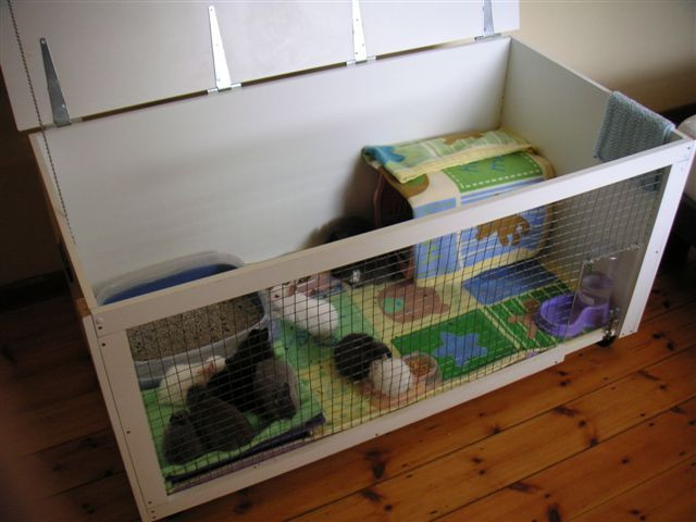 Best ideas about DIY Indoor Rabbit Cage
. Save or Pin Best 25 Rabbit cages ideas on Pinterest Now.