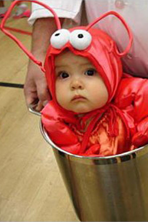 Best ideas about DIY Infant Halloween Costumes
. Save or Pin Cute DIY Baby Halloween Costume Ideas Best Homemade Now.