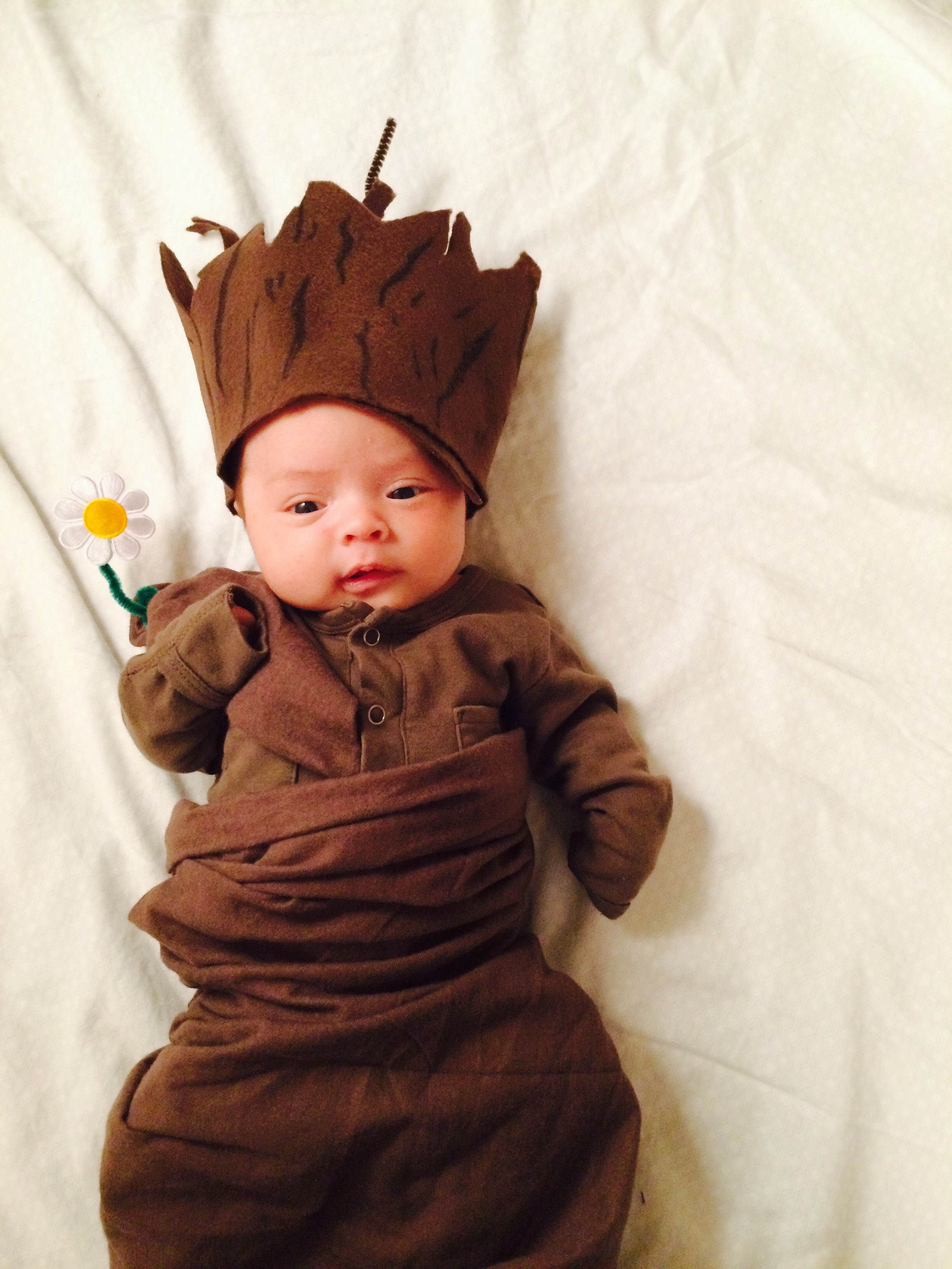 Best ideas about DIY Infant Halloween Costumes
. Save or Pin DIY Newborn Baby Groot Costume Guardians of the Galaxy Now.