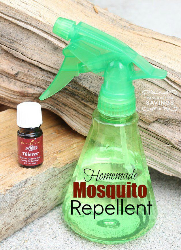 Best ideas about DIY Insect Repellent
. Save or Pin Homemade Mosquito Repellent Essential Oil Now.