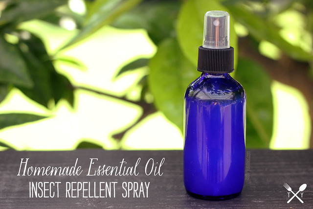 Best ideas about DIY Insect Repellent
. Save or Pin How to Make Homemade Essential Oil Insect Repellent Spray Now.