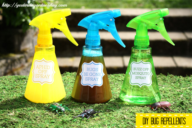 Best ideas about DIY Insect Repellent
. Save or Pin Insect Repelling Solutions Now.