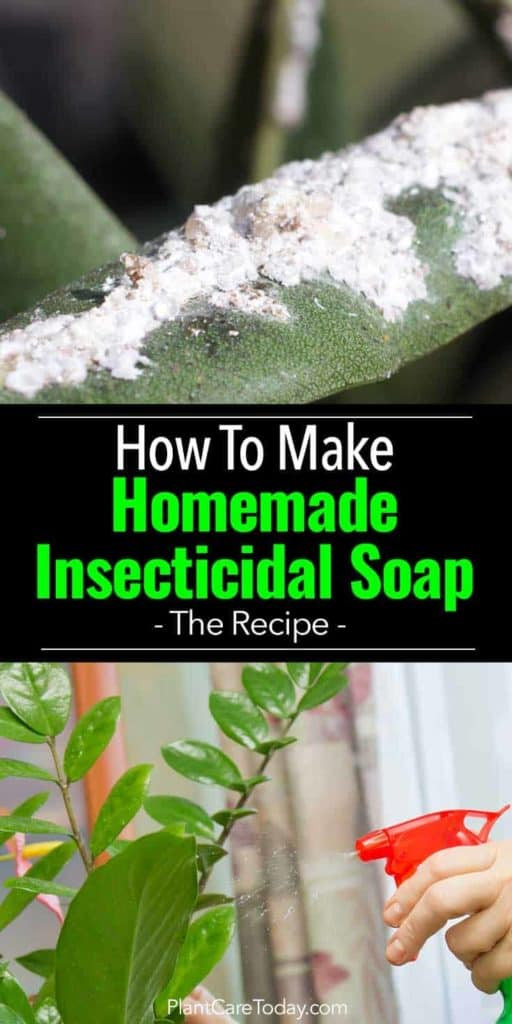Best ideas about DIY Insecticidal Soap
. Save or Pin How To Make Homemade Insecticidal Soap Recipe Now.