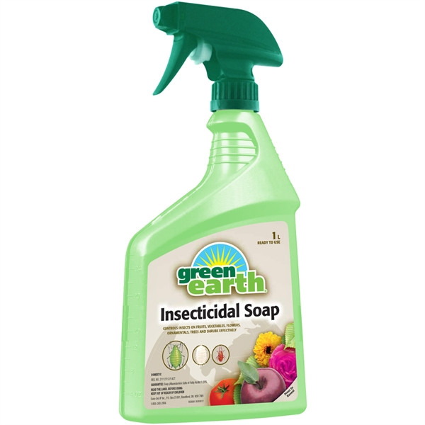 Best ideas about DIY Insecticidal Soap
. Save or Pin Green Earth 1 L Insecticidal Soap Spray Now.