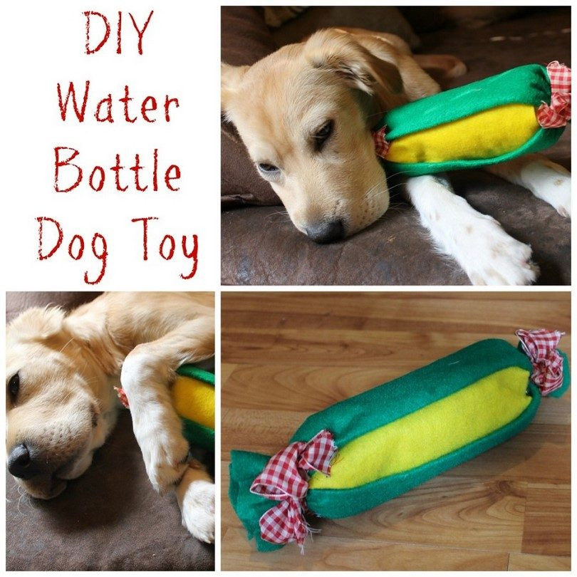 Best ideas about DIY Interactive Dog Toys
. Save or Pin How to Make Dog Toys Cost Free And Eco Friendly Homemade Now.