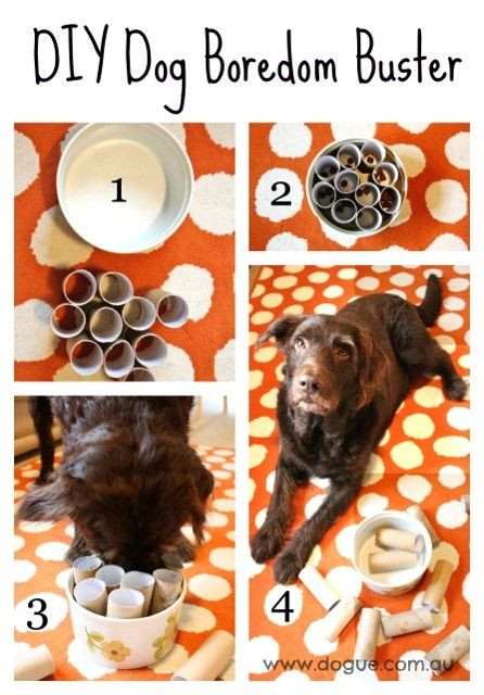 Best ideas about DIY Interactive Dog Toys
. Save or Pin 37 Homemade Dog Toys Made by DIY Pet Owners Now.