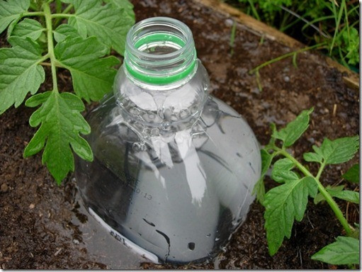 Best ideas about DIY Irrigation System For Garden
. Save or Pin DIY Drip Irrigation System Made from Plastic Bottles Now.