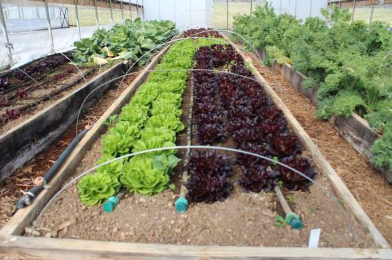 Best ideas about DIY Irrigation System For Garden
. Save or Pin DIY Watering System for Ve able or Flower Gardens Now.