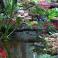 Best ideas about DIY Jackson Tn
. Save or Pin Water Gardens Pondless Waterfalls & Disappearing Now.