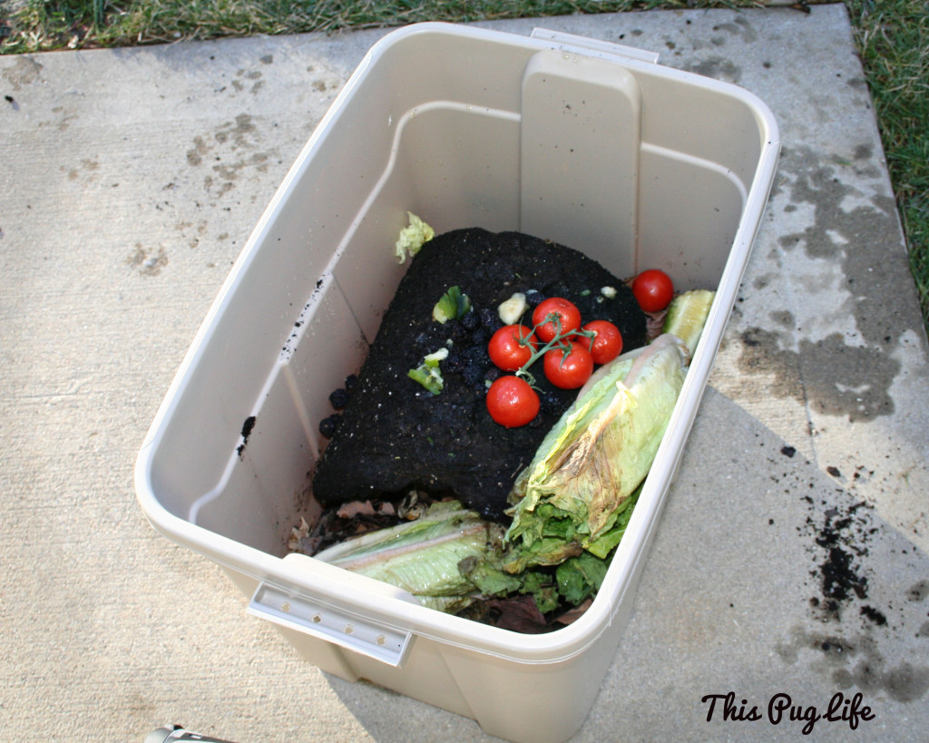 Best ideas about DIY Kitchen Compost Bin
. Save or Pin DIY post Bin Now.